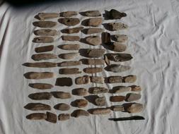 55x Legni di mare 6-15cm piccoli piatti incollare  DIY shabb