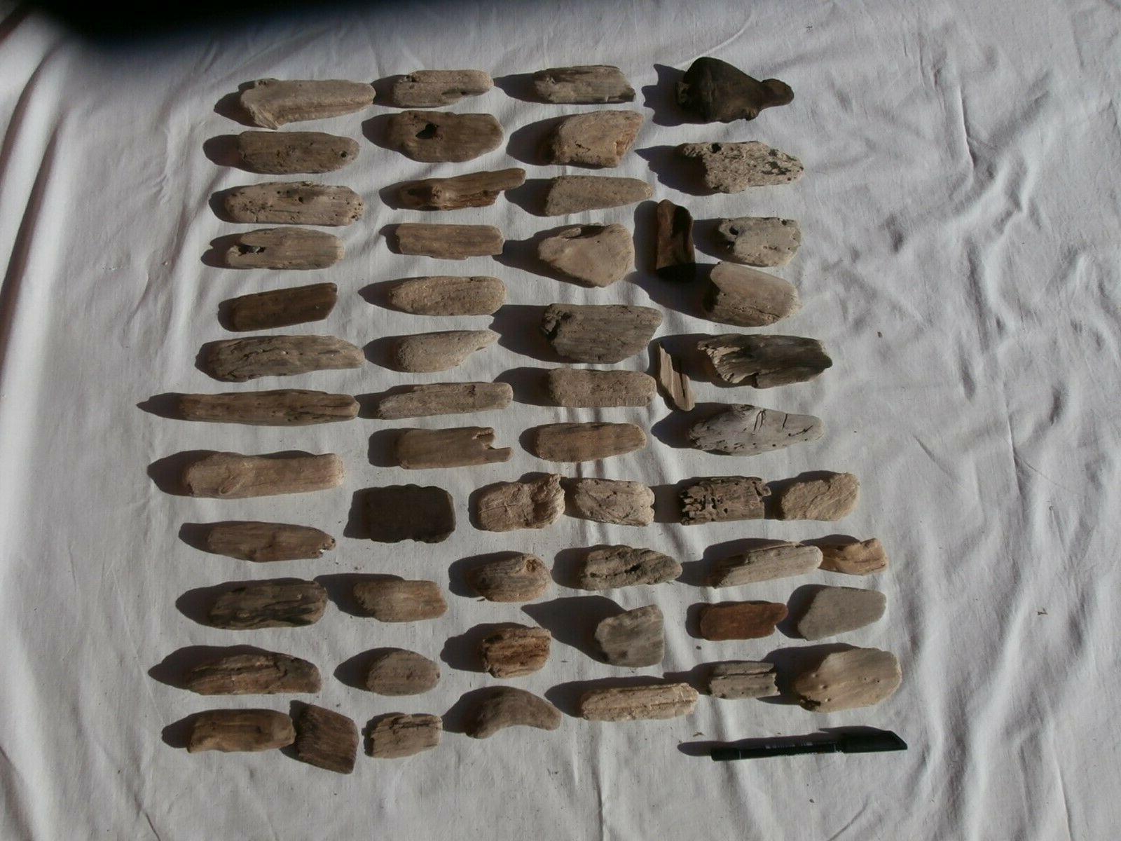 55x legni di mare 6 15cm piccoli