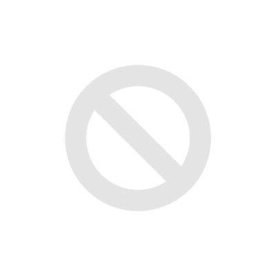 61 3780 100h specchio esterno su entrambi