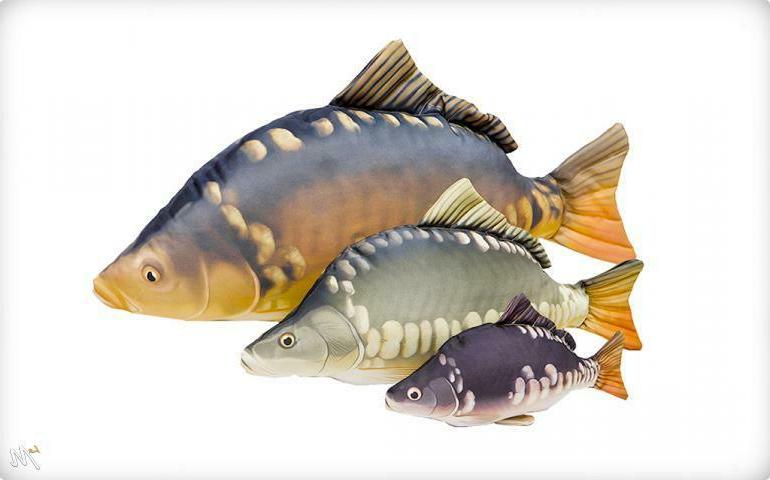 cuscino a forma di pesce carpa specchi