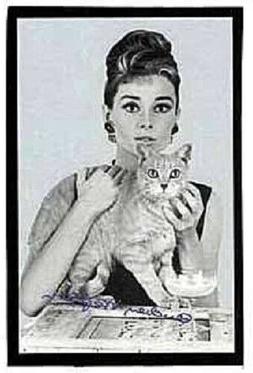 O Audrey Hepburn Da Parete